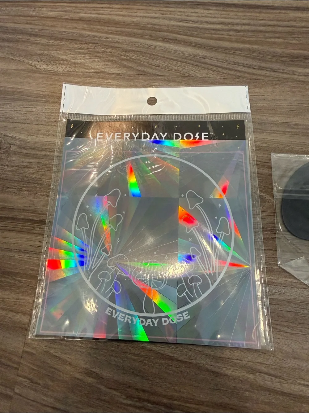 Everyday Dose Holographic Window Sticker & Magnet Set - Rainbow Shine
